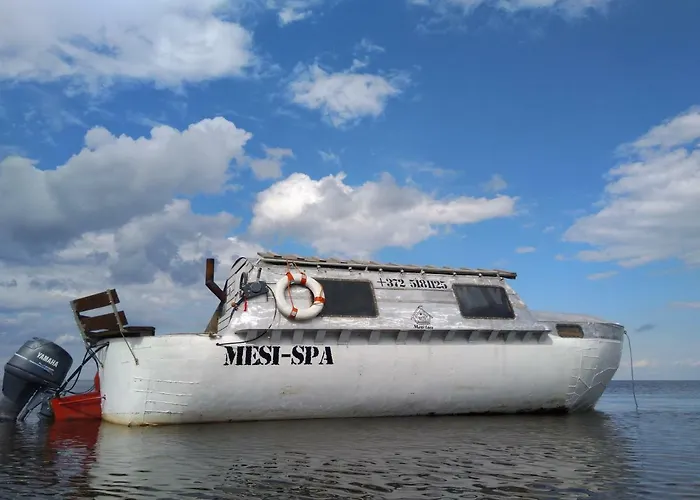 Peipsi Boathouses Botel *